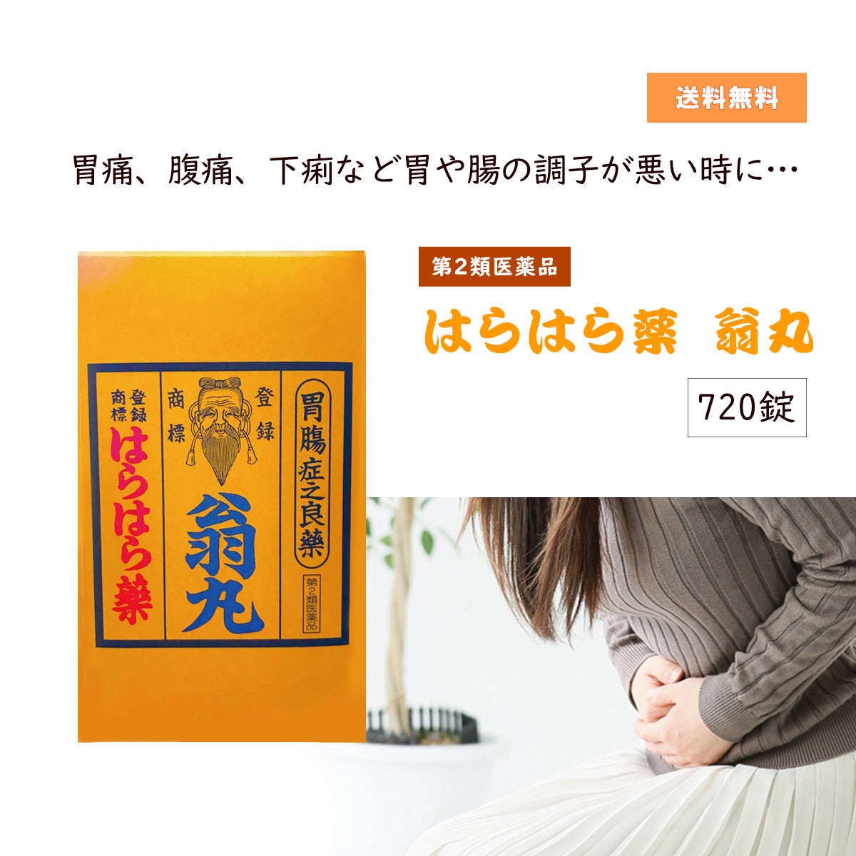 第２類医薬品】はらはら薬「翁丸」(おきながん) 720錠 – 大慶堂 さん