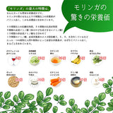 モリンガラクテック スティック20本入り