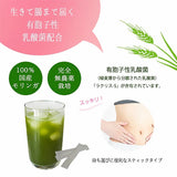 【2個セット】モリンガラクテック スティック20本入り