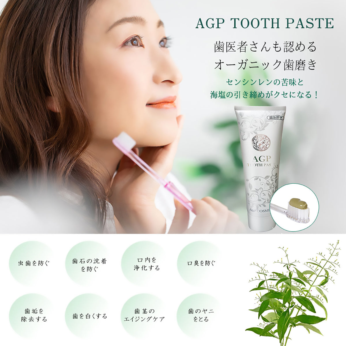 AGP歯みがき粉120g センシンレン 3個セット – 大慶堂 さんあい