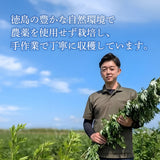 【青空よもぎのしみず】徳島県産 よもぎパウダー 60g