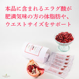 nini 熟成発酵ザクロペースト 30袋  2個セット
