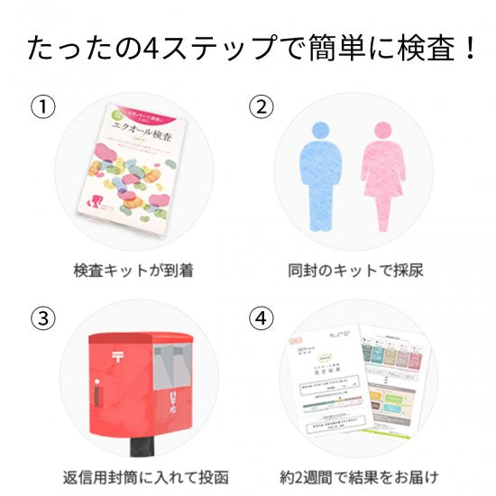 エクオール検査キット ソイチェック 2個セット – 大慶堂 さん