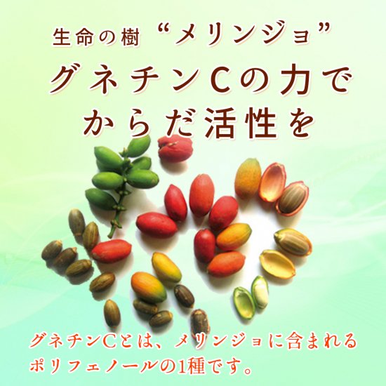 メリンジョール 60粒（パウチ） – 大慶堂 さんあい薬局 オンラインショップ