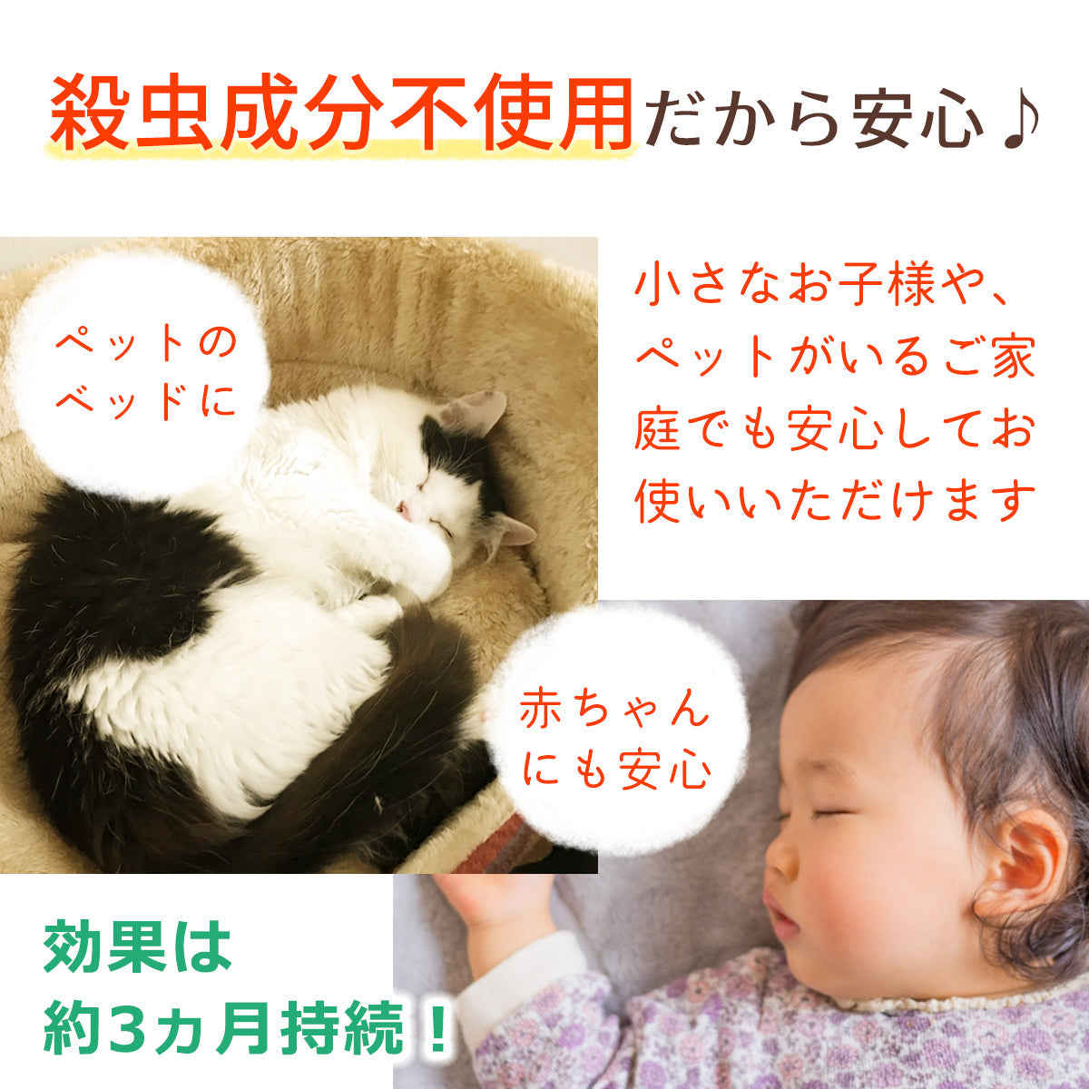 ダニがいなくなるシート 3枚入り 2個セット キンチョウ – 大慶堂 ダニがいなくなるシート 3枚入り 2個セット キンチョウ – 大慶堂