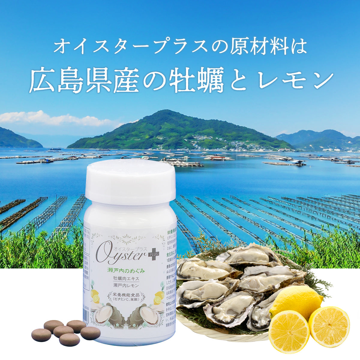 オイスタープラス300粒 〜瀬戸内のめぐみ〜 – 大慶堂 さんあい薬局