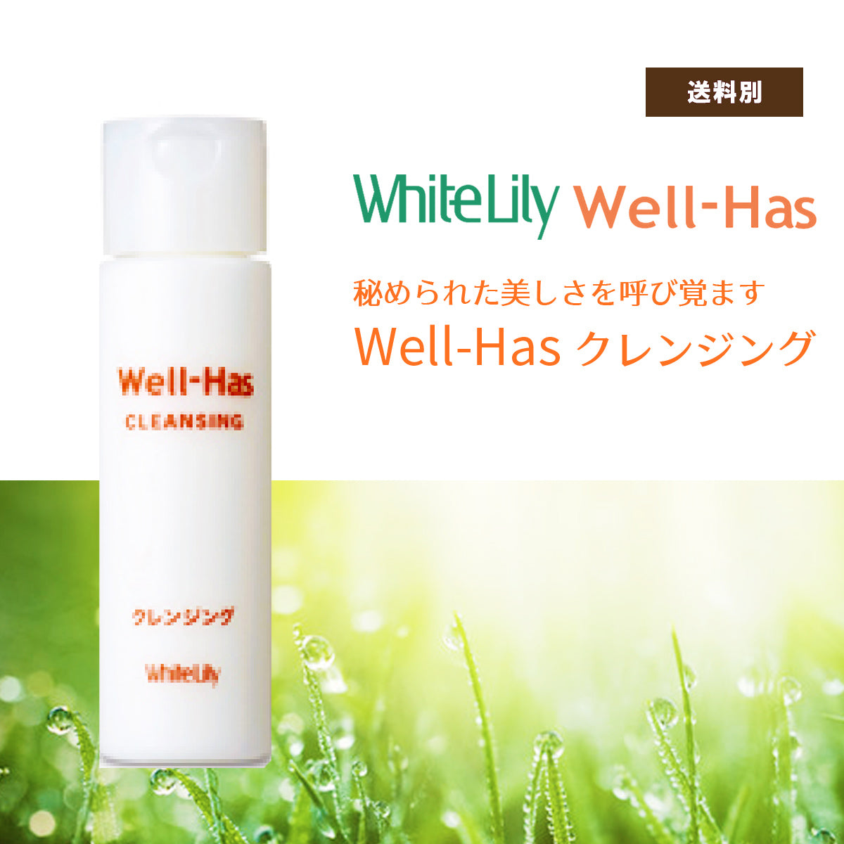 ☆新品20%OFF・送料無料☆ ホワイトリリー ウェルハースシリーズセット ☆新品20%OFF・送料無料☆ ホワイトリリー ウェルハースシリーズ